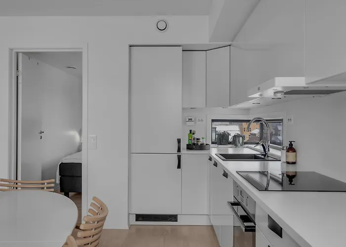 公寓 Northstay - Skyline L Penthouse L Center 特罗姆瑟